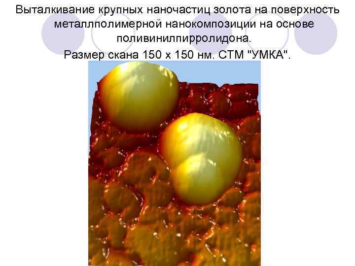 Выталкивание крупных наночастиц золота на поверхность металлполимерной нанокомпозиции на основе поливинилпирролидона. Размер скана 150