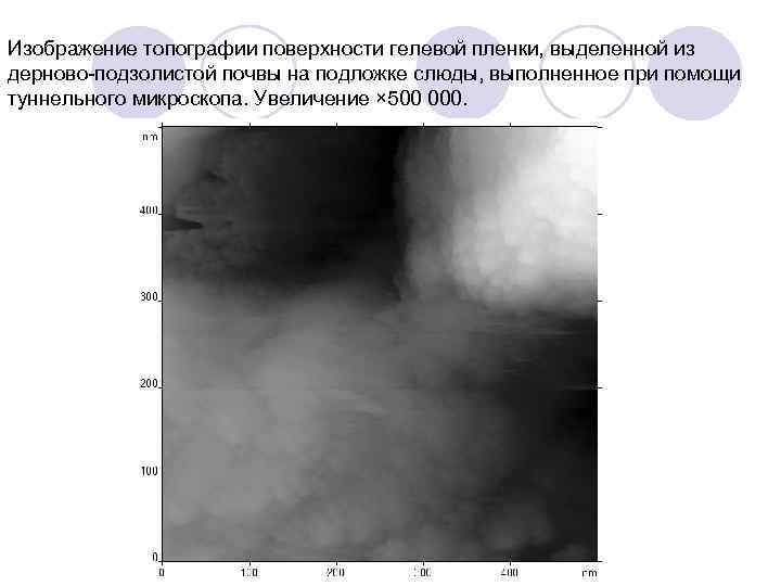 Изображение топографии поверхности гелевой пленки, выделенной из дерново подзолистой почвы на подложке слюды, выполненное
