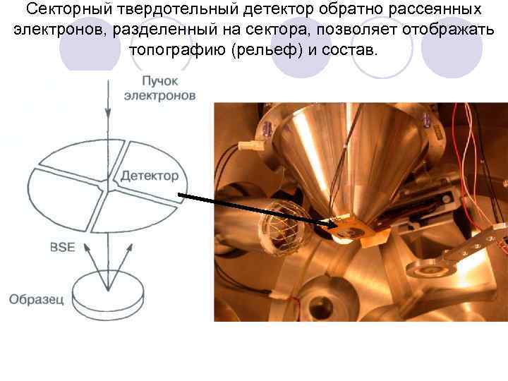 Секторный твердотельный детектор обратно рассеянных электронов, разделенный на сектора, позволяет отображать топографию (рельеф) и
