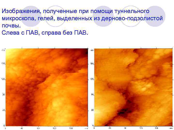 Изображения, полученные при помощи туннельного микроскопа, гелей, выделенных из дерново подзолистой почвы. Слева с