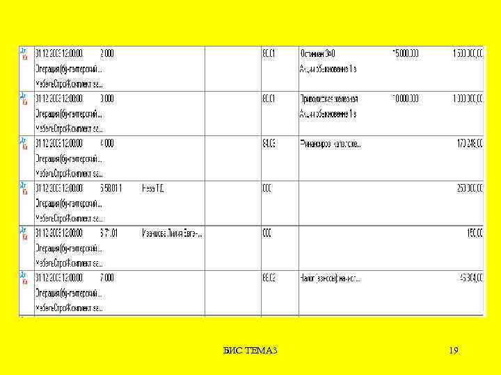 БИС ТЕМА 3 19 