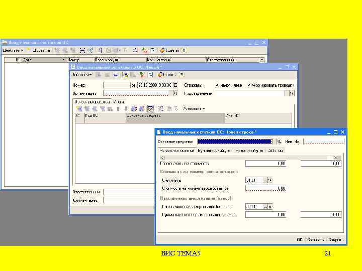 БИС ТЕМА 3 21 