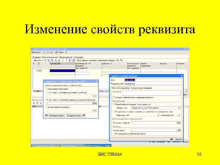 Изменение свойств реквизита БИС ТЕМА 4 30 