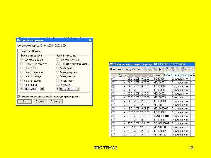 БИС ТЕМА 5 12 