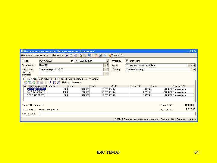 БИС ТЕМА 5 24 