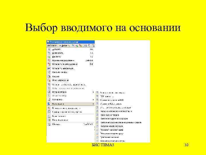 Выбор вводимого на основании БИС ТЕМА 5 30 