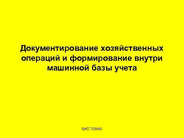 Документирование хозяйственных операций и формирование внутри машинной базы учета БИС ТЕМА 0 