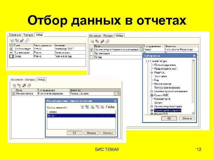 Отбор данных в отчетах БИС ТЕМА 6 12 