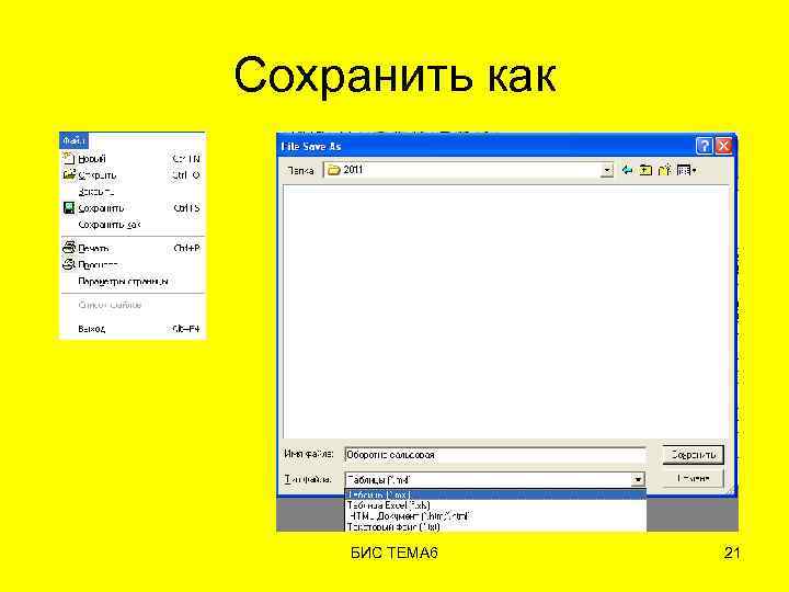 Сохранить как БИС ТЕМА 6 21 