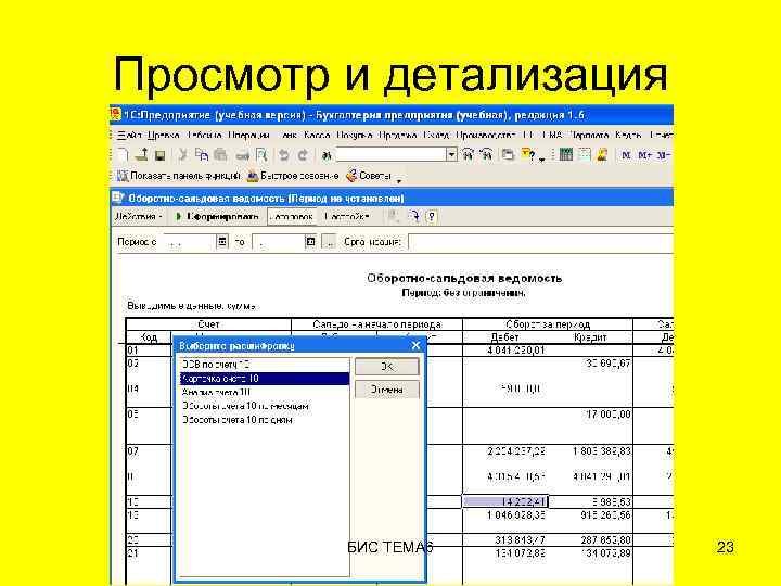 Просмотр и детализация БИС ТЕМА 6 23 