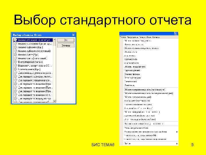 Выбор стандартного отчета БИС ТЕМА 6 5 