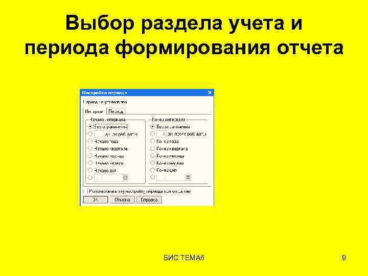 Выбор раздела учета и периода формирования отчета БИС ТЕМА 6 9 