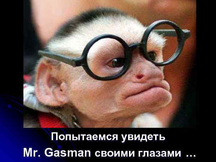 Попытаемся увидеть Mr. Gasman своими глазами … 