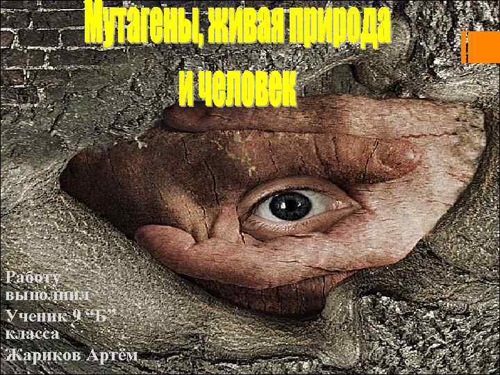 Работу выполнил Ученик 9 “Б” класса Жариков Артём 