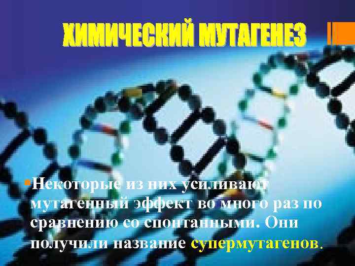 §Некоторые из них усиливают мутагенный эффект во много раз по сравнению со спонтанными. Они
