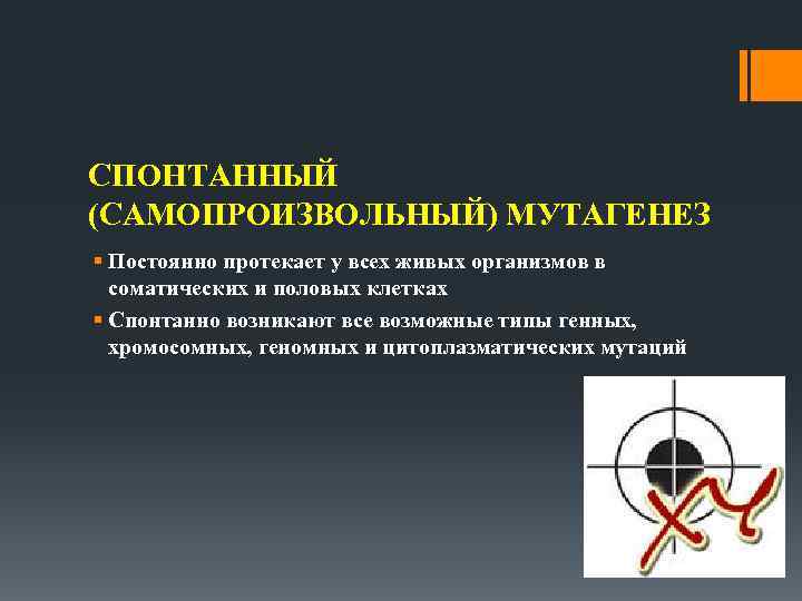 СПОНТАННЫЙ (САМОПРОИЗВОЛЬНЫЙ) МУТАГЕНЕЗ § Постоянно протекает у всех живых организмов в соматических и половых