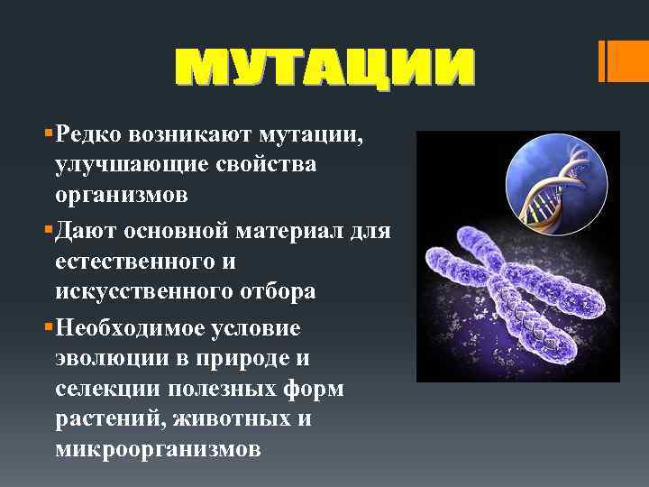 § Редко возникают мутации, улучшающие свойства организмов § Дают основной материал для естественного и