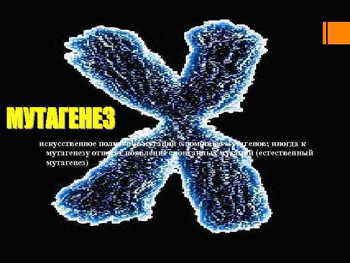 искусственное получение мутаций с помощью мутагенов; иногда к мутагенезу относят появление спонтанных мутаций (естественный