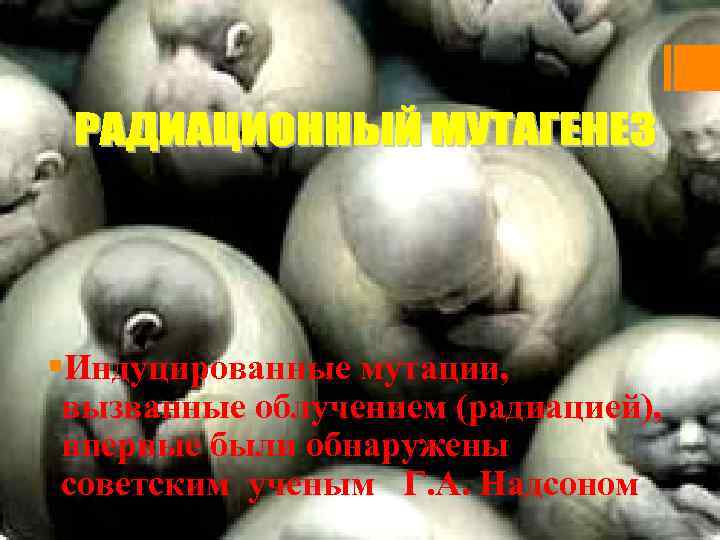 §Индуцированные мутации, вызванные облучением (радиацией), впервые были обнаружены советским ученым Г. А. Надсоном 