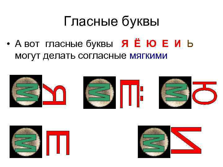 Гласные буквы • А вот гласные буквы Я Ё Ю Е И Ь могут