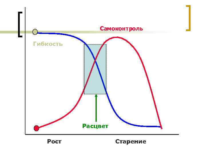 Самоконтроль Гибкость Расцвет Рост Старение 
