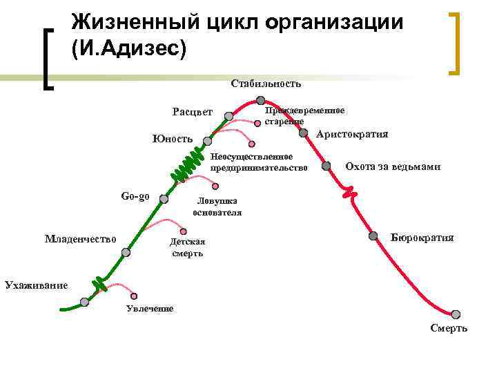 Как правильно трактовать зубчики на схеме адизеса перед этапами младенчество бюрократизация и юность