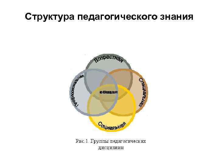 Структура педагогического знания 