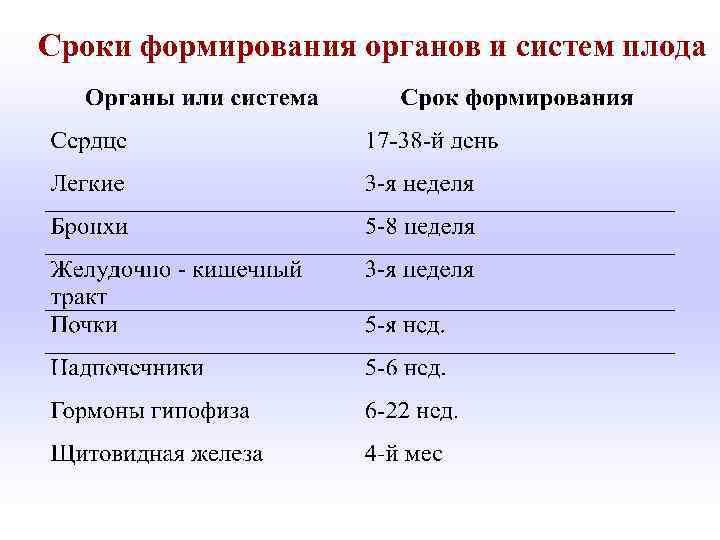 Сроки формирования органов и систем плода 