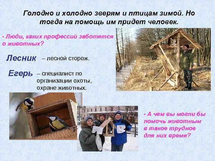 Голодно и холодно зверям и птицам зимой. Но тогда на помощь им придет человек.