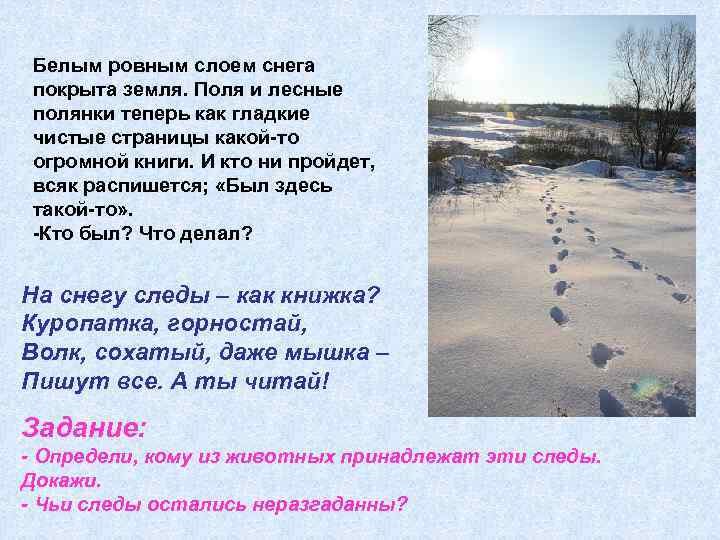 Белым ровным слоем снега покрыта земля. Поля и лесные полянки теперь как гладкие чистые