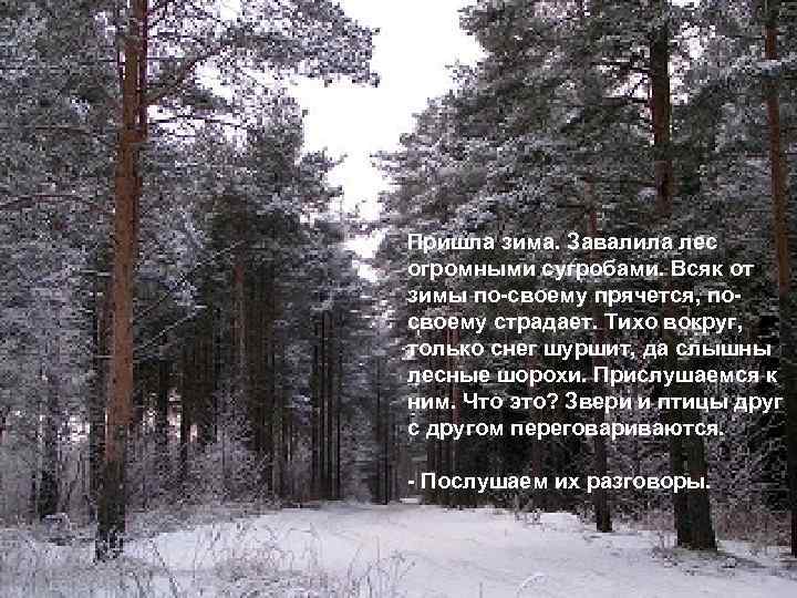 Пришла зима. Завалила лес огромными сугробами. Всяк от зимы по-своему прячется, посвоему страдает. Тихо