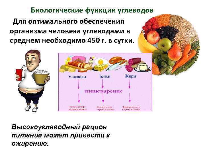 Биологические функции углеводов Для оптимального обеспечения организма человека углеводами в среднем необходимо 450 г.