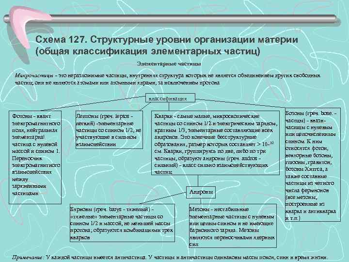 Схема 127. Структурные уровни организации материи (общая классификация элементарных частиц) Элементарные частицы Микрочастицы -