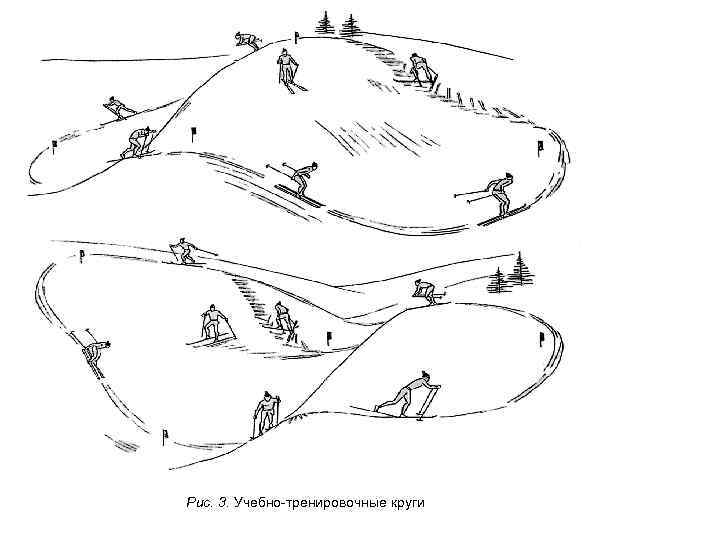 Рис. 3. Учебно-тренировочные круги 