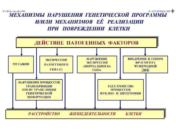 Компенсация нарушений речи. Механизмы компенсации расстройств энергообеспечения. Внутриклеточные механизмы адаптации. Компенсация нарушений энергетического обеспечения клетки. Классификация адаптивных механизмов.