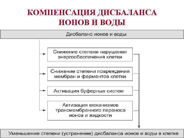 КОМПЕНСАЦИЯ ДИСБАЛАНСА ИОНОВ И ВОДЫ 