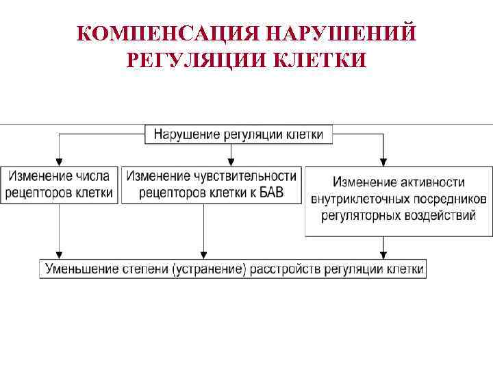 КОМПЕНСАЦИЯ НАРУШЕНИЙ РЕГУЛЯЦИИ КЛЕТКИ 