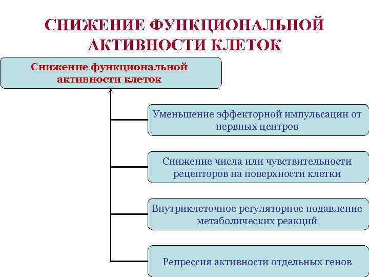 СНИЖЕНИЕ ФУНКЦИОНАЛЬНОЙ АКТИВНОСТИ КЛЕТОК Снижение функциональной активности клеток Уменьшение эффекторной импульсации от нервных центров
