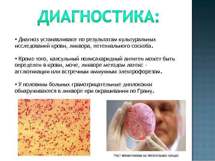  • Диагноз устанавливают по результатам культуральных исследований крови, ликвора, петехиального соскоба. • Кроме