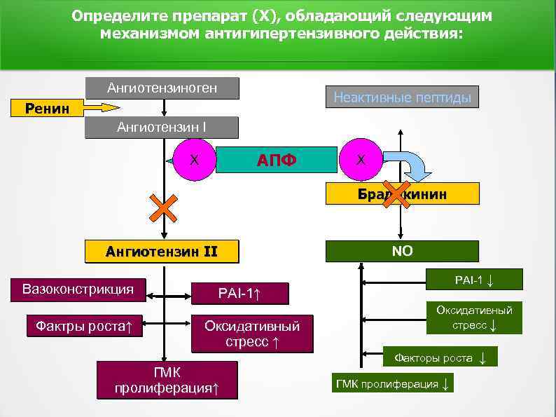 Определите препарат (Х), обладающий следующим механизмом антигипертензивного действия: Ангиотензиноген Неактивные пептиды Ренин Ангиотензин I