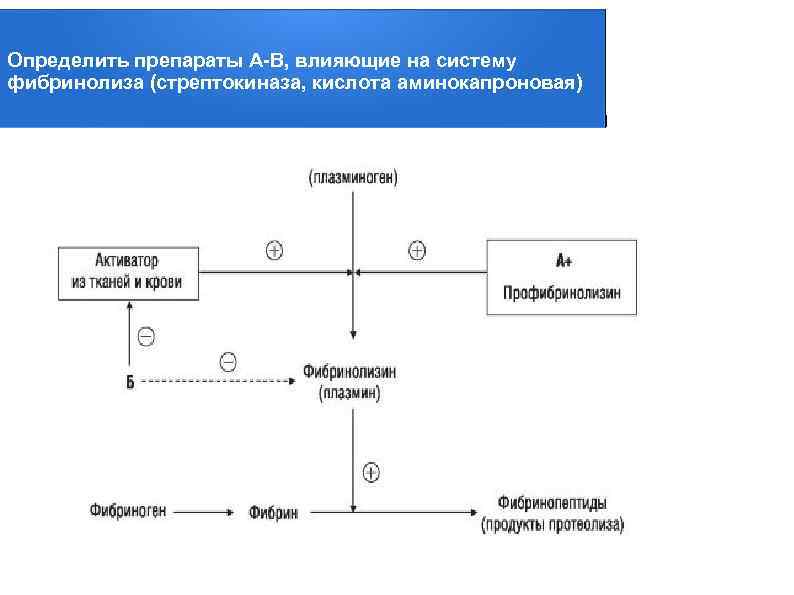 Определить препараты А-В, влияющие на систему фибринолиза (стрептокиназа, кислота аминокапроновая) 