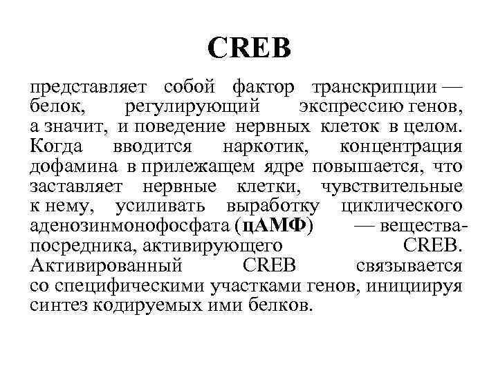 CREB представляет собой фактор транскрипции — белок, регулирующий экспрессию генов, а значит, и поведение