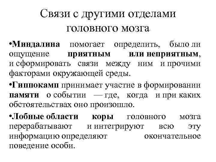 Связи с другими отделами головного мозга • Миндалина помогает определить, было ли ощущение приятным