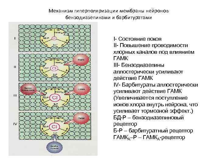 Механизм гиперполяризации мембраны нейронов бензодиазепинами и барбитуратами I- Состояние покоя II- Повышение проводимости хлорных