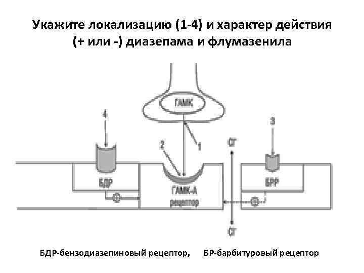 Фортелизин схема введения