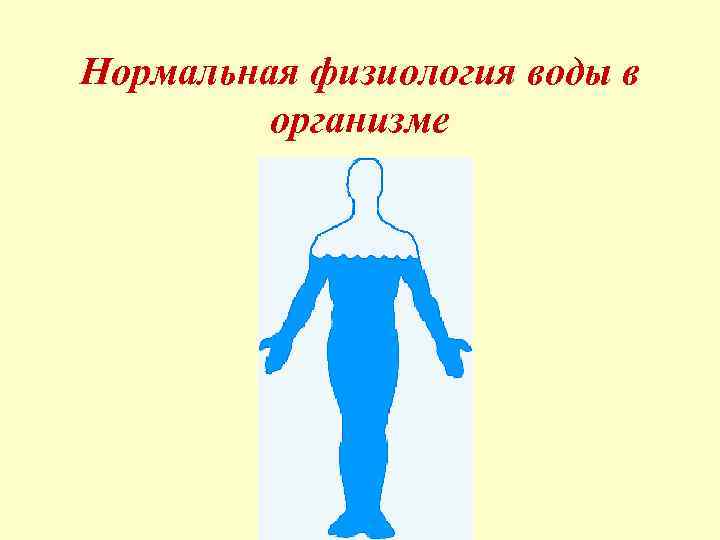 Нормальная физиология воды в организме 