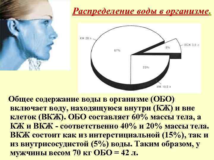 Распределение воды в организме. Общее содержание воды в организме (ОБО) включает воду, находящуюся внутри