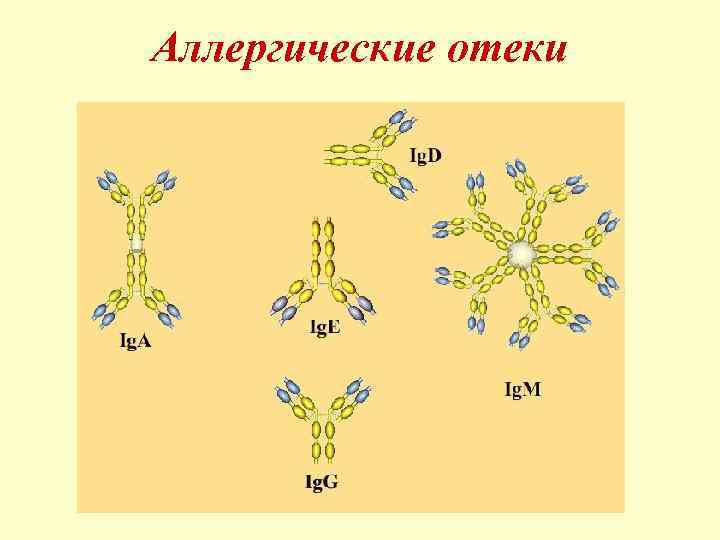 Аллергические отеки 