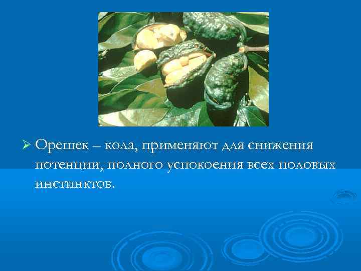  Орешек – кола, применяют для снижения потенции, полного успокоения всех половых инстинктов. 