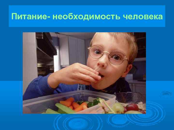 Питание- необходимость человека 